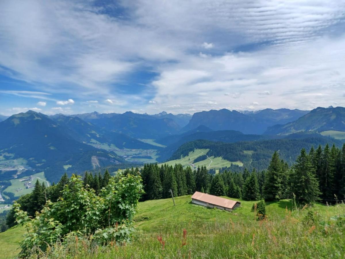 Ferienhaus Brittenberg Schwarzenberg im Bregenzerwald Εξωτερικό φωτογραφία